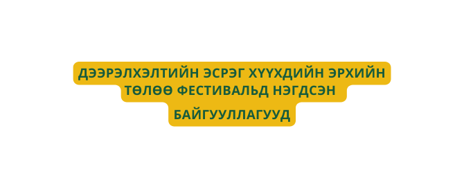 ДЭЭРЭЛХЭЛТИЙН ЭСРЭГ ХҮҮХДИЙН ЭРХИЙН ТӨЛӨӨ ФЕСТИВАЛЬД НЭГДСЭН БАЙГУУЛЛАГУУД